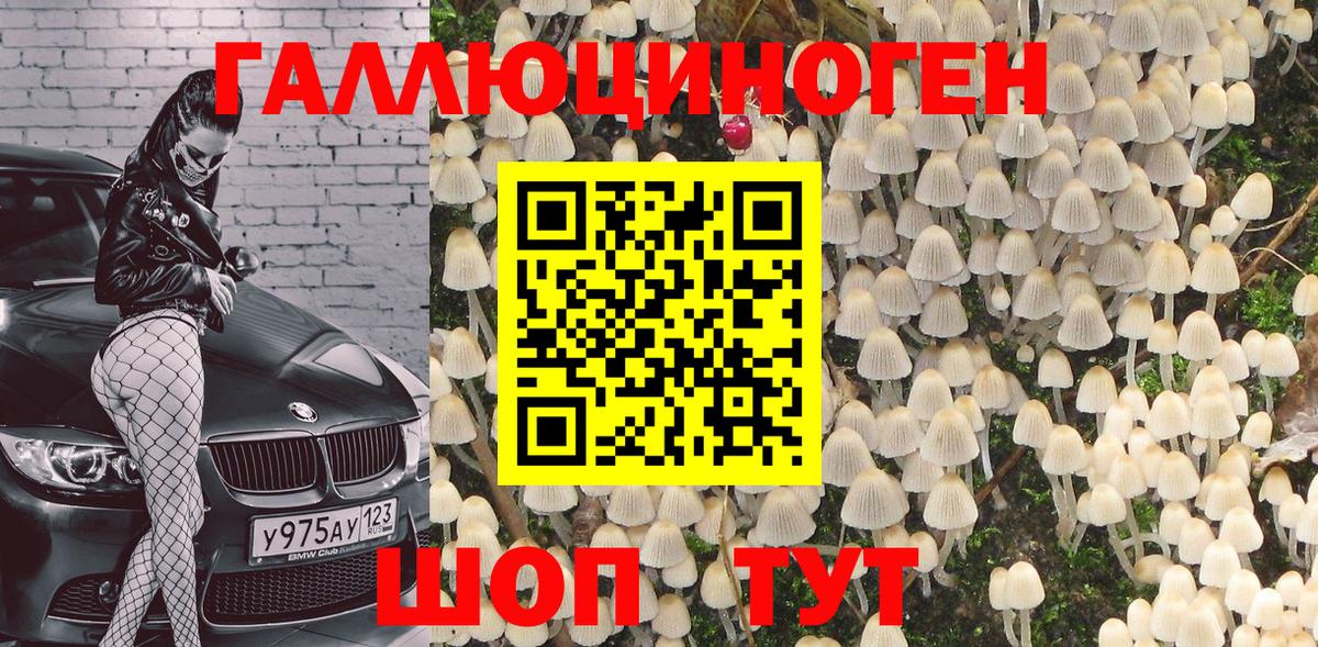 Соль-Илецк  Псилоцибиновые грибы Psilocybine cubensis  Вход с VPN 